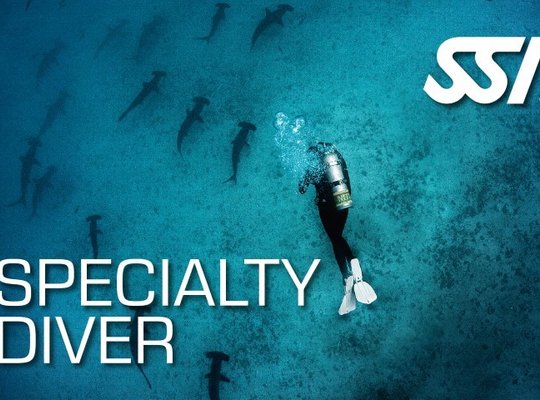 Specialty Diver Bundle