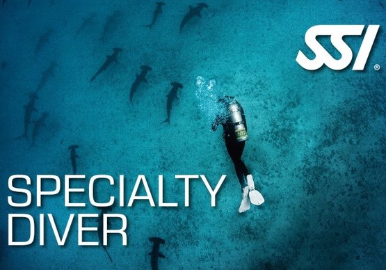 Specialty Diver Bundle
