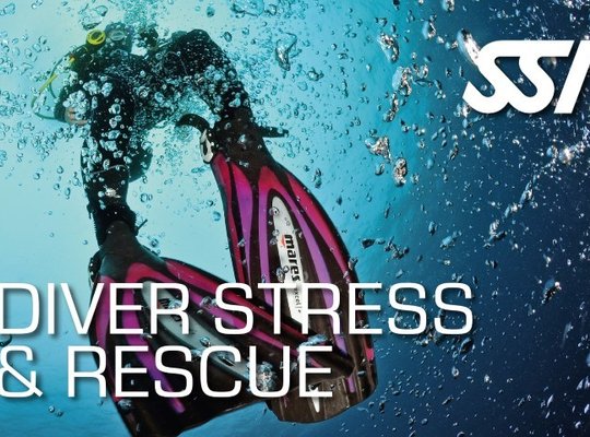 Course Stress & Rescue