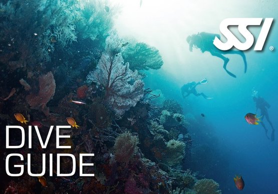 Dive Guide